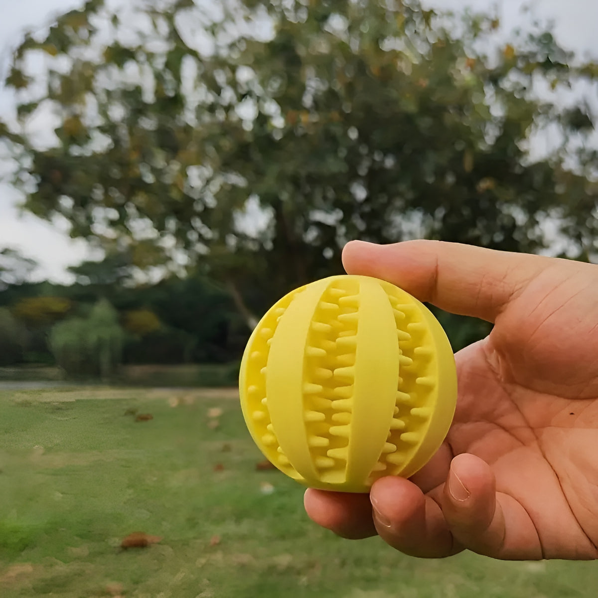 Pelota interactiva para alimentos mascota – Envío a toda Venezuela – NQLN Store