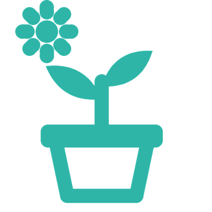 Jardinería y plantas