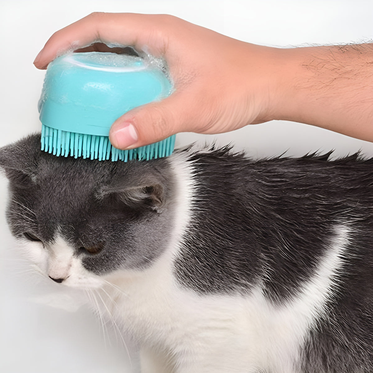 Cepillo de Silicona Exfoliante para perro – NQLN Store Venezuela, tienda online con envío a todo el país