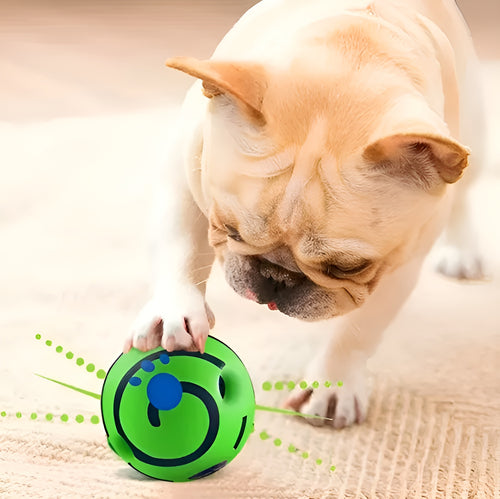 Pelota interactiva para perros