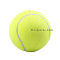 Pelota de tennis para mascotas – Vista de cerca del producto – NQLN Store