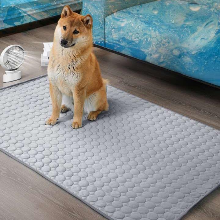 Alfombra de enfriamiento para mascotas – Envío a toda Venezuela – NQLN Store