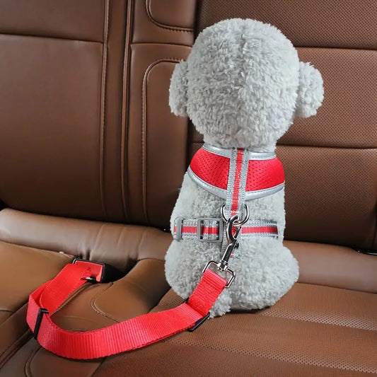 Cinturon de seguridad de mascotas para carros
