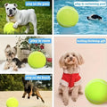 Pelota de tennis para mascotas – Tienda online NQLN Store Venezuela