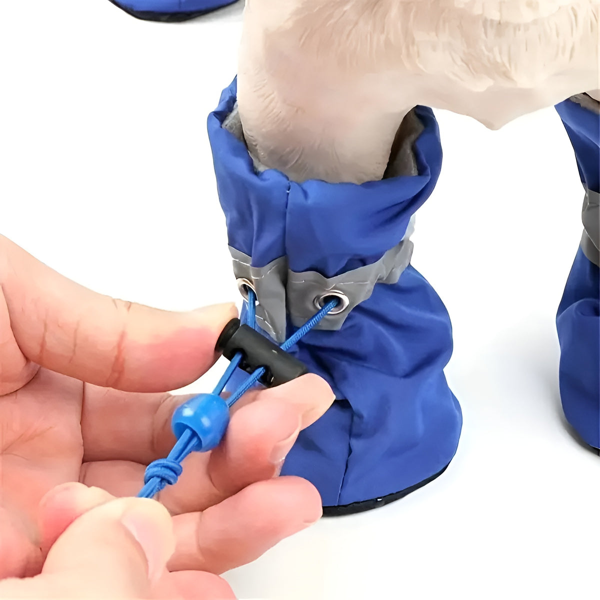 Zapatos para Perros