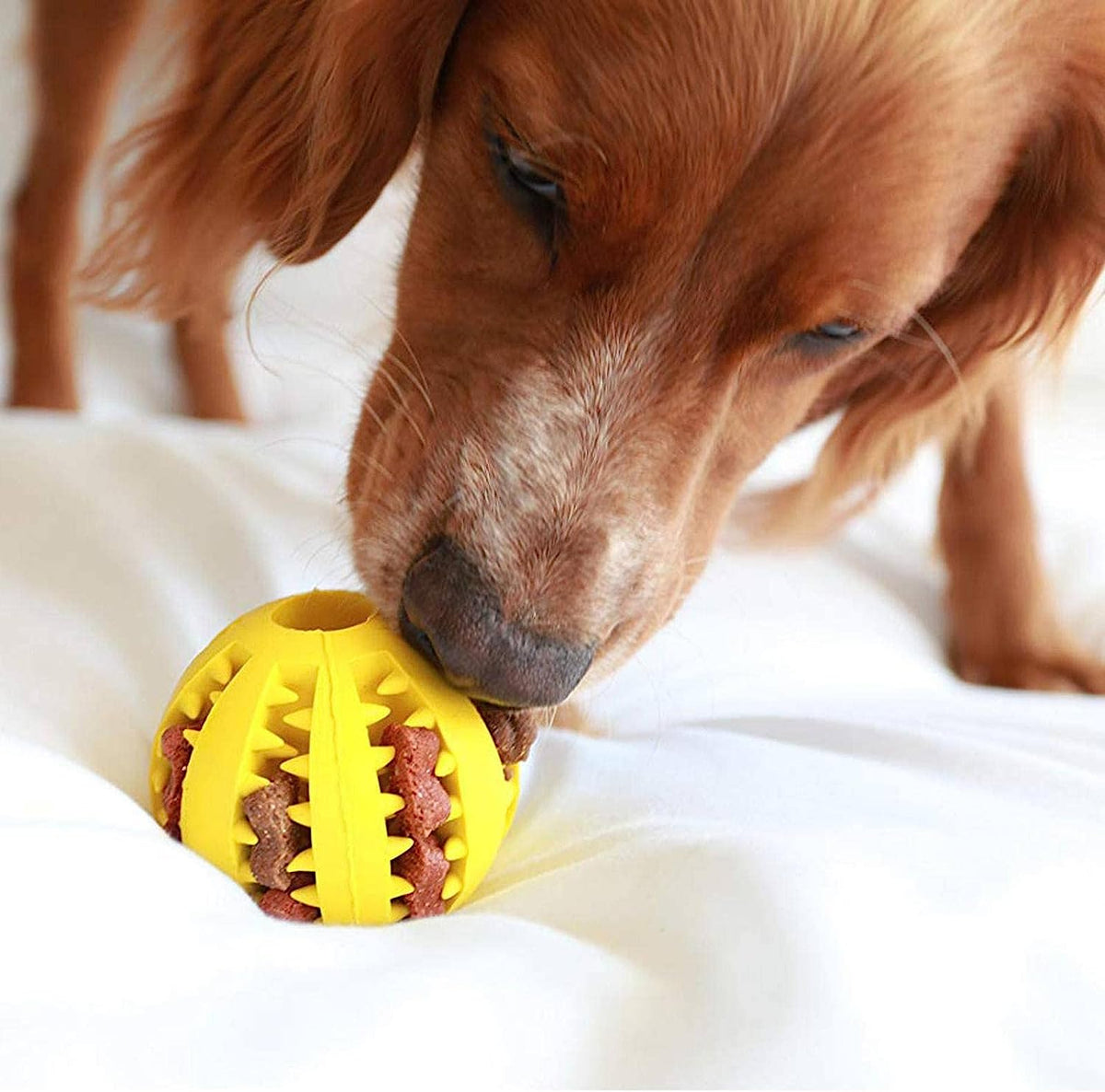 Pelota interactiva para alimentos mascota