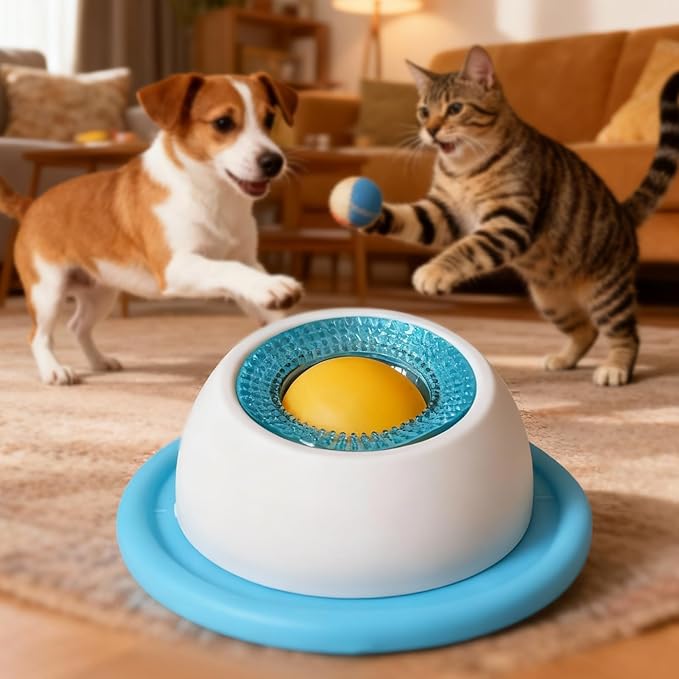 Tazon Interactivo de mascotas para Lamer – Presentación del producto – Comprar en NQLN Store