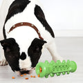 Cepillo de dientes Molar para perros – Detalle de calidad y acabado – NQLN Store