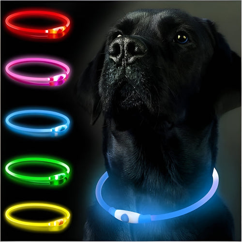 Collar Led ajustable de paseo nocturno para mascota