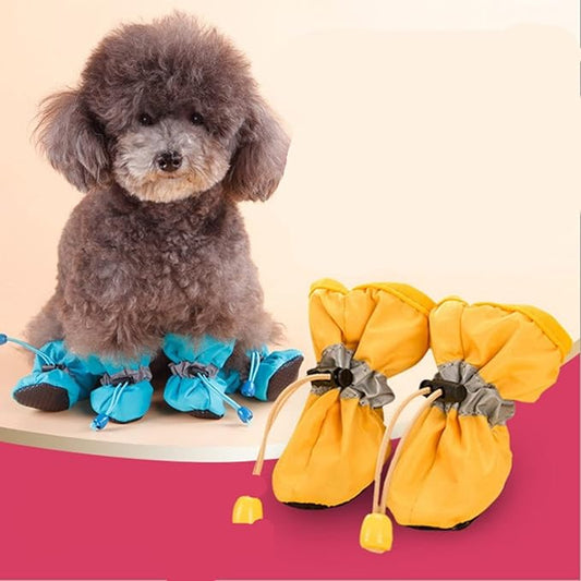 Zapatos para Perros