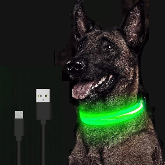 Collar LED para perros