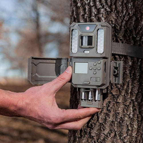 Camara Bushnell Core Prime