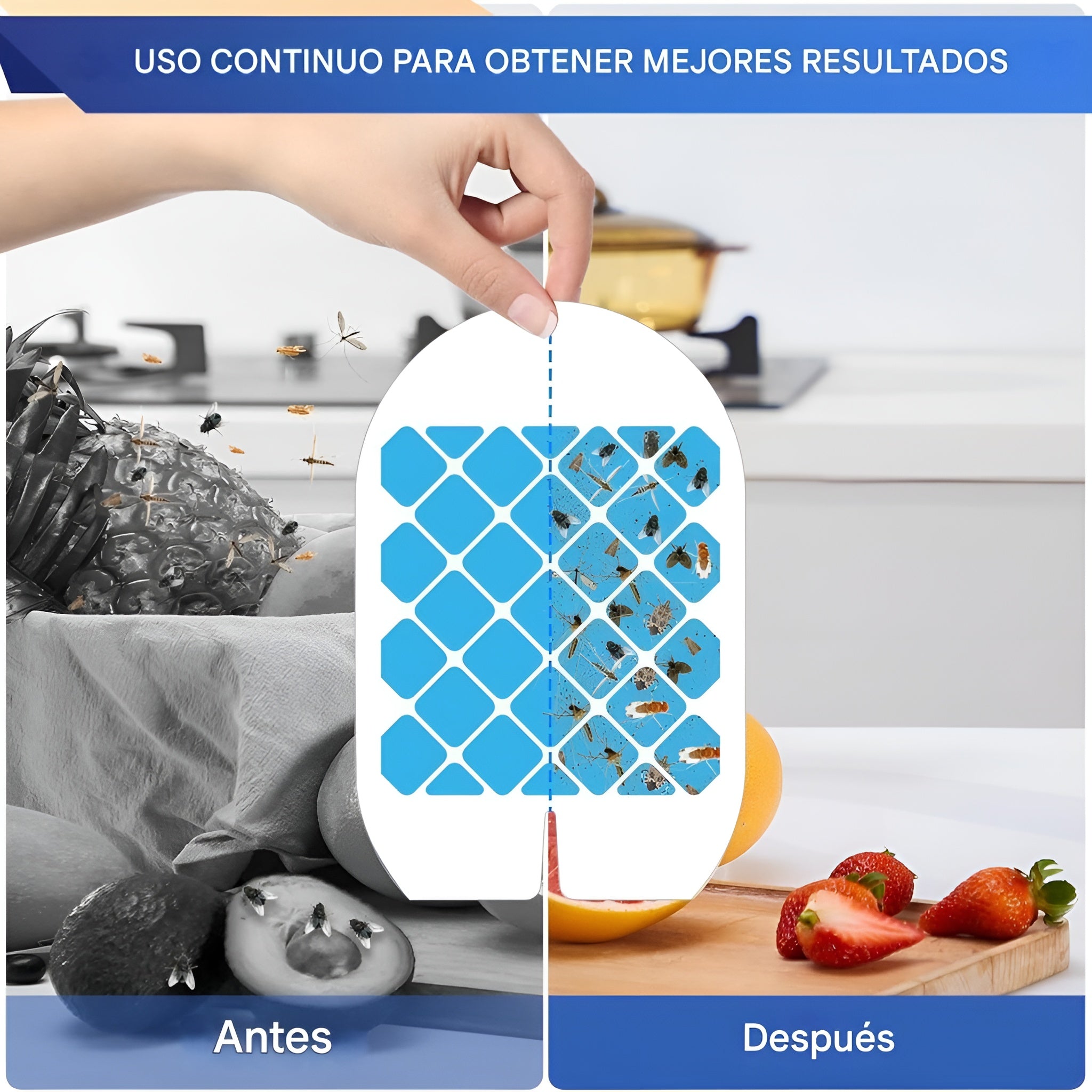 Repuesto para trampa insecto Vauli (10 unidades) – Tienda online NQLN Store Venezuela