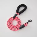 Correa para perro de nailon para paseo