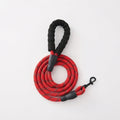 Correa para perro de nailon para paseo