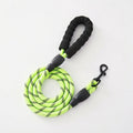 Correa para perro de nailon para paseo