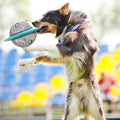 juguete interactivo de alimentacion para perros
