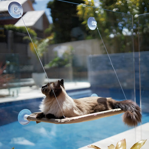 Hamaca para gatos