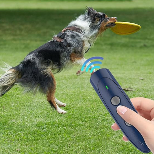 Dispositivo de entrenamiento de ladridos para perros