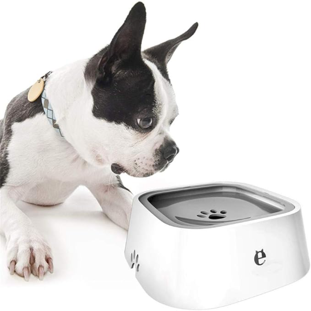 Dispensador de agua para perros
