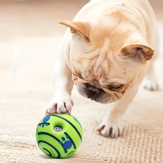 Pelota interactiva de juguetes para perros