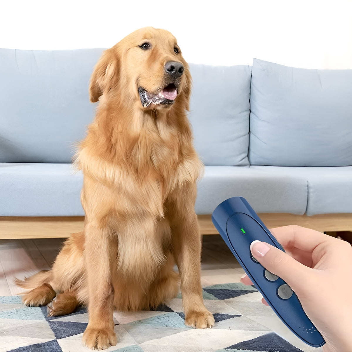 Dispositivo de entrenamiento de ladridos para perros