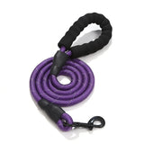Morado