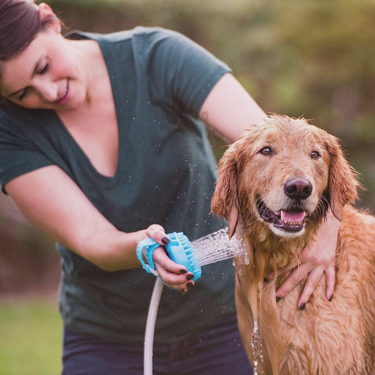 Cepillo ducha de agua a presión para mascotas