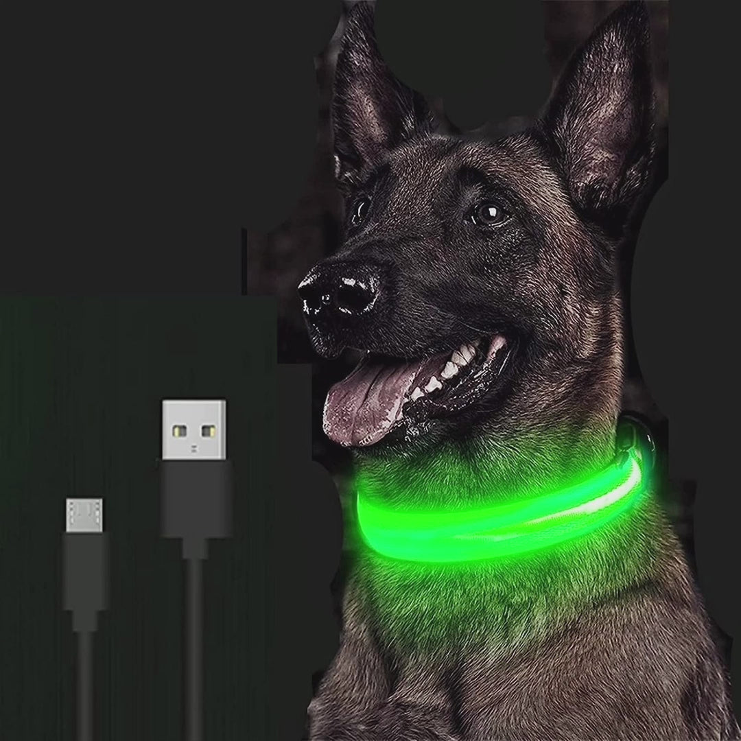 Collar LED para perros