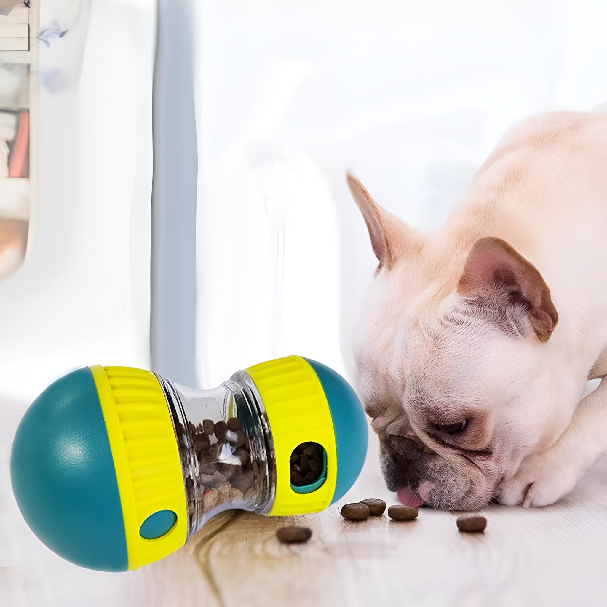 Comedero interactivo para perros