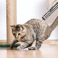 Juguete laser para mascotas – Disponible en NQLN Store con envío gratis desde $20