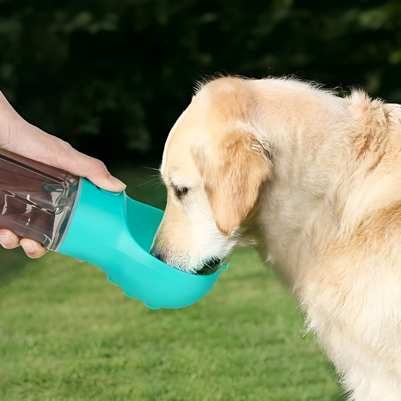 Botella de agua multifuncional 5 en 1 para mascota.
