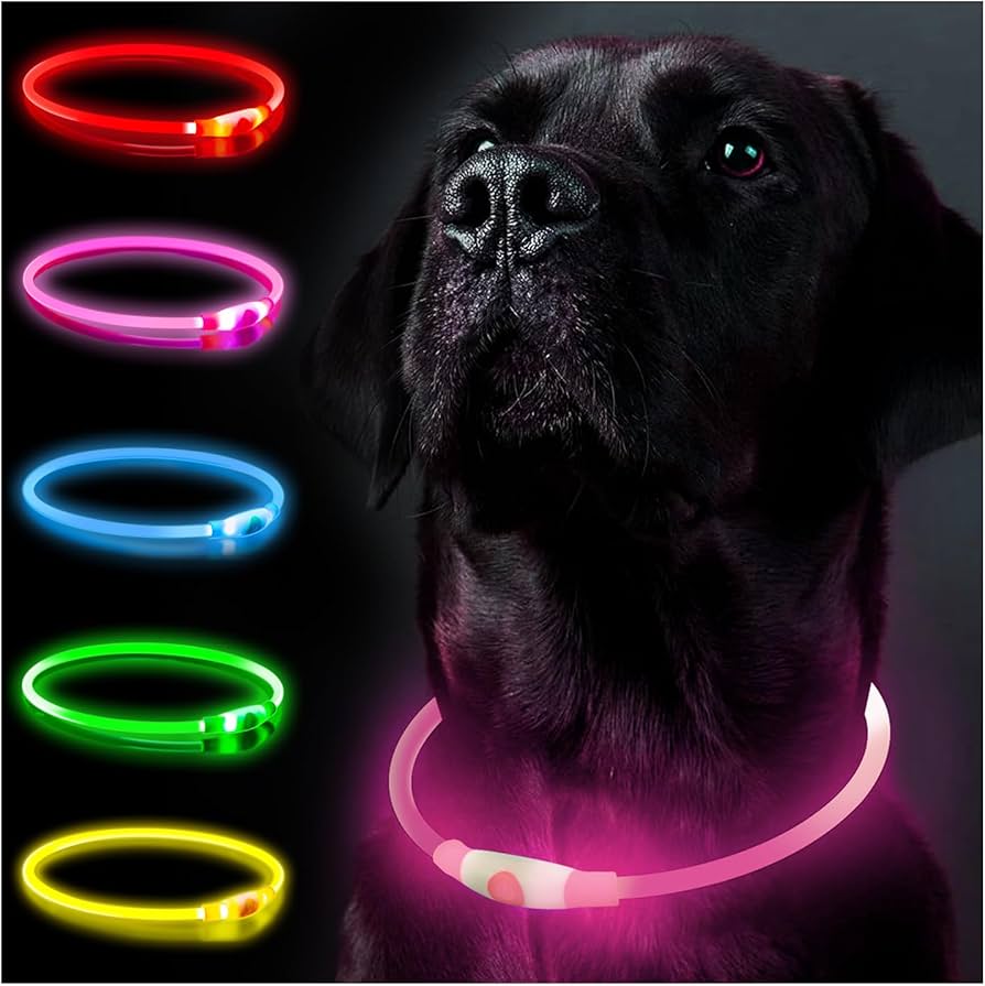 Collar Led para Mascotas Ajustable