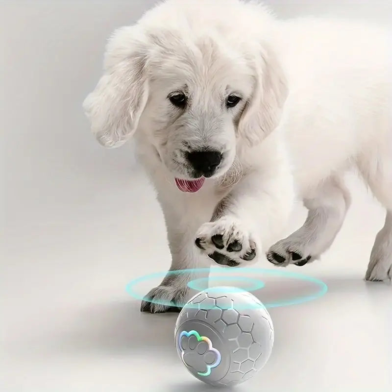 Pelota interactiva para perros