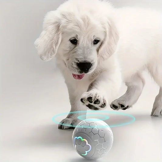Pelota interactiva para perros