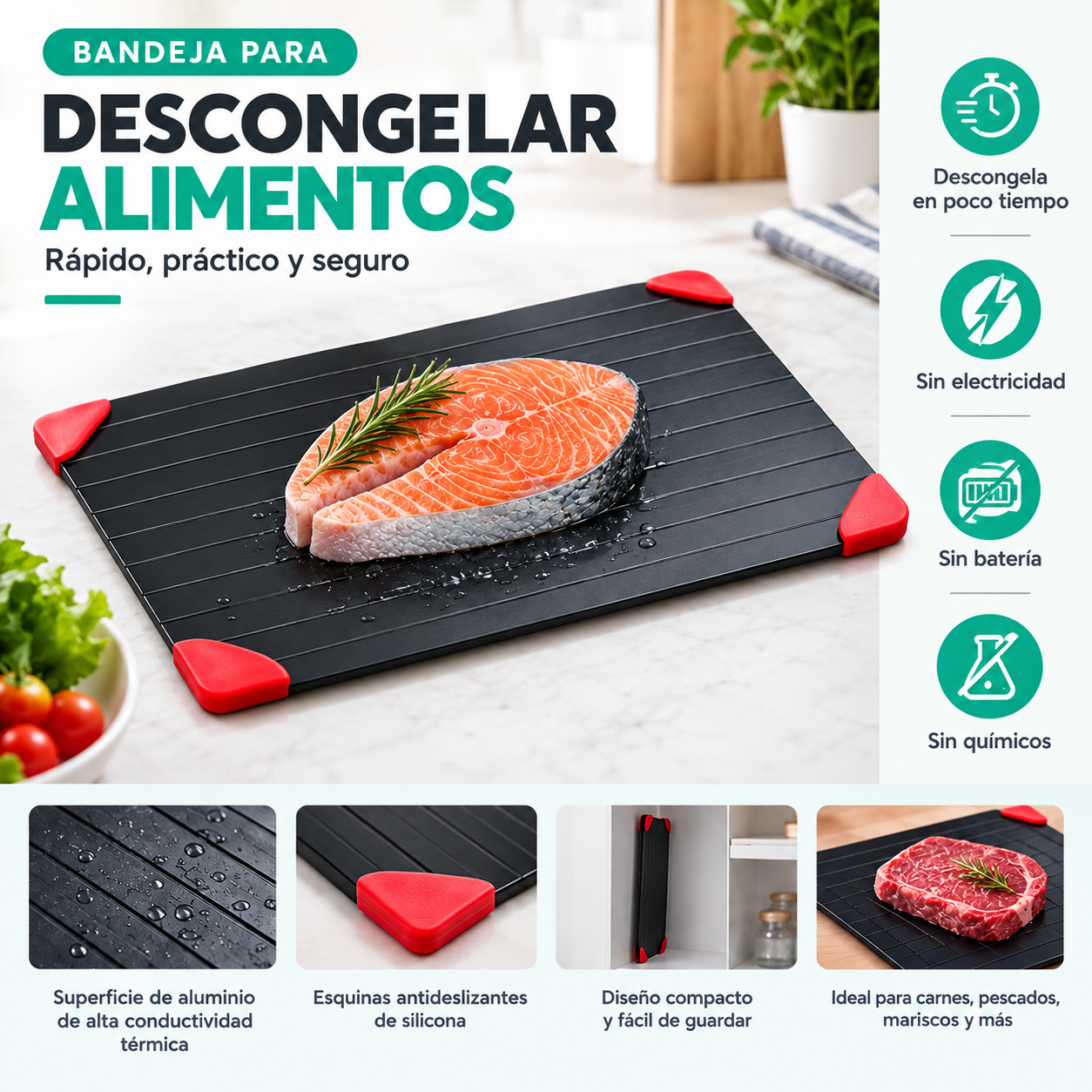 Bandeja para descongelar carne – NQLN Store Venezuela, tienda online con envío a todo el país