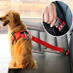 Correa de seguridad para mascotas en carros