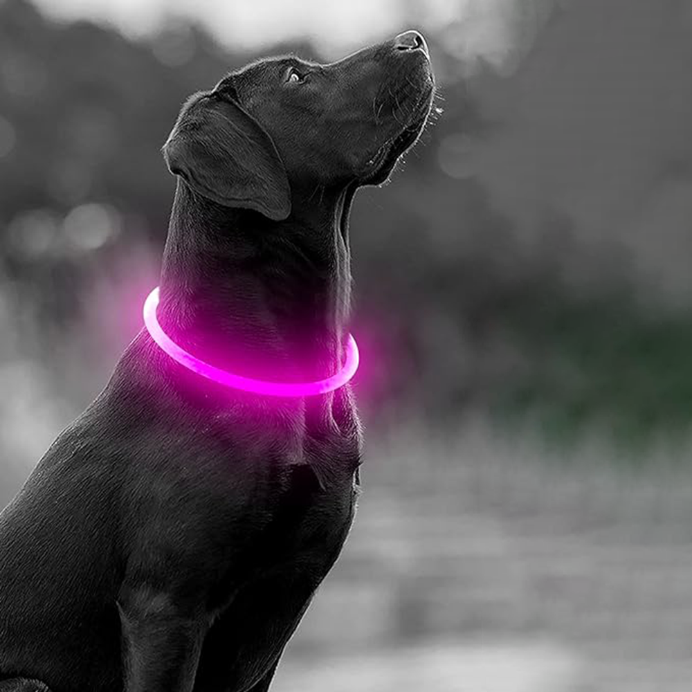 Collar Led para Mascotas Ajustable