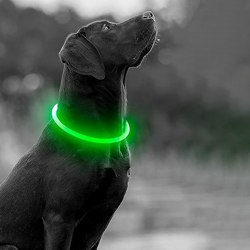 Collar luminoso para mascotas para perros y gatos, utilizado para